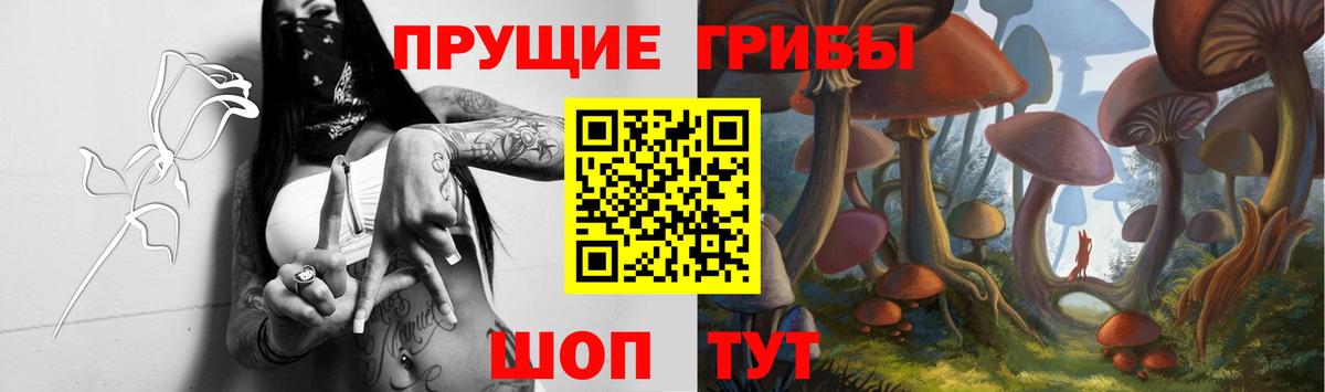 Галлюциногенные грибы Psilocybine cubensis  цена   Лесосибирск  Галлюциногенные грибы мухоморы  Вход с VPN 